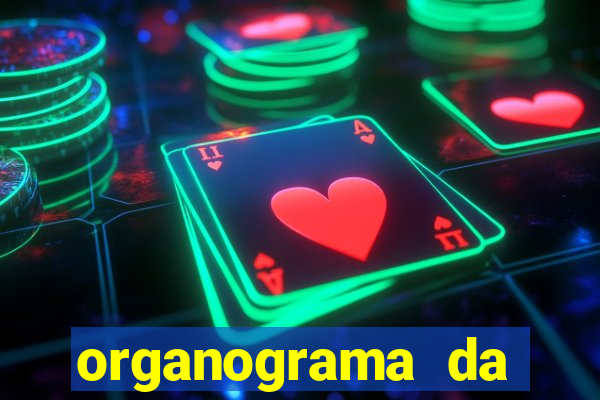 organograma da cacau show