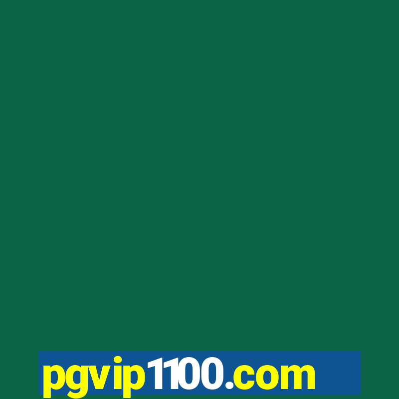 pgvip1100.com