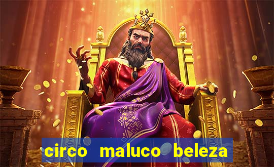 circo maluco beleza recife circo maluco