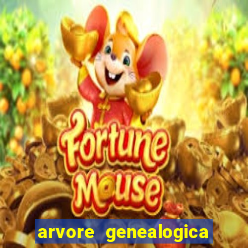 arvore genealogica dos gracie