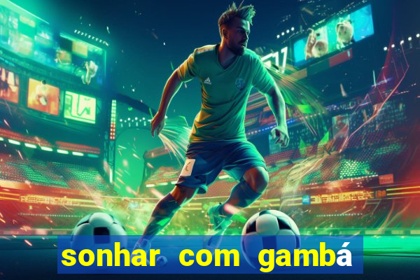 sonhar com gambá jogo do bicho