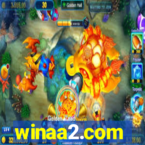 winaa2.com