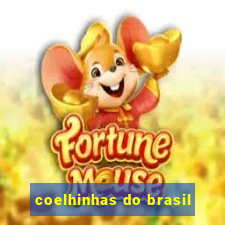 coelhinhas do brasil