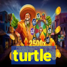 turtle-ty.com