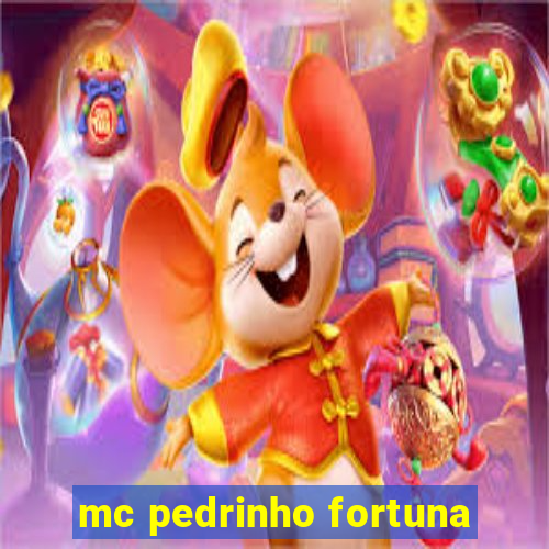 mc pedrinho fortuna