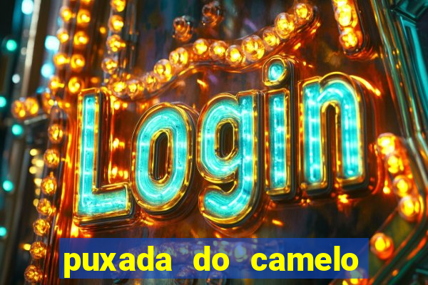 puxada do camelo jogo do bicho